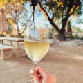 The Smoothest Wines for Beginners